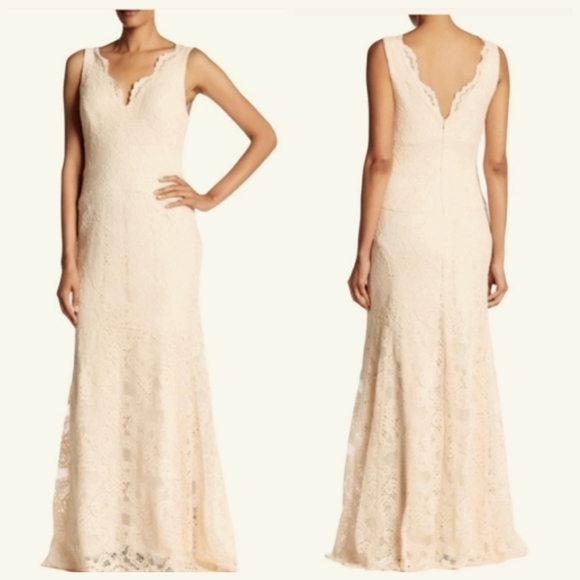 Nwt Nicole Miller Ny Blush Lace Sleeveless Evening Gown - Picture 1 of 17